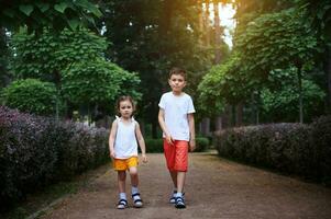 adorable dos niños, chico y chica, hermano y hermana caminando a lo largo el callejón de un parque a puesta de sol en hermosa verano día foto