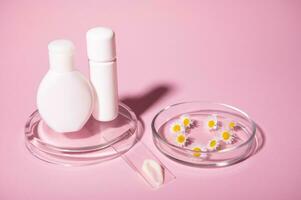 Two white bottles mockup and chamomile flowers on Petri dish, a labglass with smear of moisturizer on pink background photo