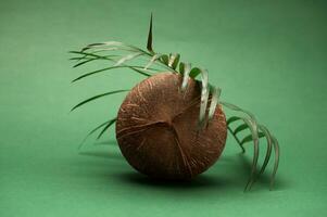 Still life with a coconut and palm leaf isolated over dark green studio background. photo