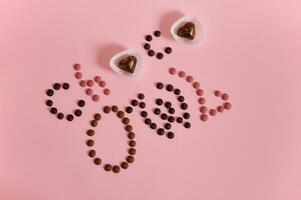 Flat lay of inscription lettering laid out from multi colored chocolate pills and pralines on pink background with copy space photo