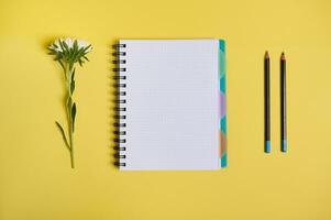 Flat lay composition with arranged aster flower next to an organizer notepad with blank white sheets and two pencils, isolated on yellow background with copy space photo
