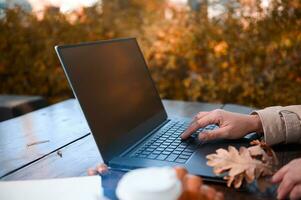 Focus on female holding oak leaf and typing on keyboard of a laptop with copy space on blank monitor screen , while working remotely outdoors in countryside with sunbeams falling through oak trees photo