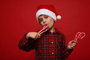 Close-up of handsome adorable boy in plaid shirt and Santa Claus hat tasting sweet sugary Christmas lollipops, striped candy canes, looks at camera posing against colored background with copy space photo
