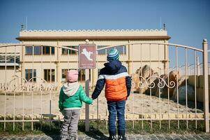 ver desde el espalda a un chico participación su de hermana mano y en pie en un frente de zoo jaula foto
