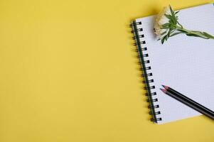 Flat lay composition from autumn aster flower and a color pencil on an organizer notepad with blank white sheets , isolated on yellow background with copy space photo