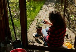 A gardener sits by the follow of a wooden pavilion in the garden and cuts off the leaves of a mint plant planted in a clay pot with garden shears photo