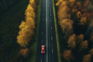 A car driving down a highway through tall trees photo