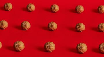 Walnut pattern on red background with space for text photo
