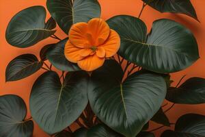 Tropical leaves of monstera on a solid color background. ai generative photo