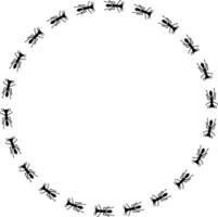 Ant silhouettes trail illustration in shape of circle vector