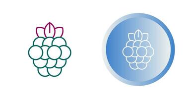 Raspberry Vector Icon