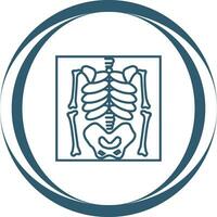 Skeleton Vector Icon