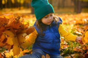 hermosa sereno bebé niña en verde de lana sombrero, amarillo suéter y azul calentar chaqueta sentado en caído otoño seco hojas y reunión hermosa ramo, disfrutando calentar clima al aire libre a puesta de sol foto