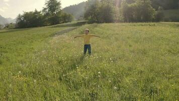 a boy is walking through a field with flowers video