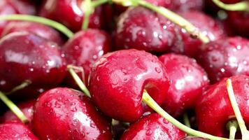 dulce rojo cerezas son siendo rociado con frío agua. lento corredizo movimienot. video