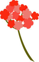 Flowers branch for decoration and design. png