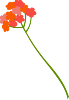 flores ramo para decoração e Projeto. png