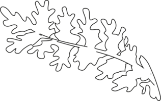 feuille contour dessin pour décoration et conception. png