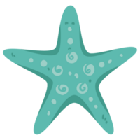 Starfish Beach Days Color 2D Illustrations png