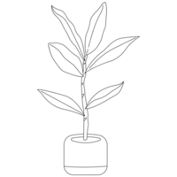 Fiddle Leaf Plant Outline 2D Illustrations png