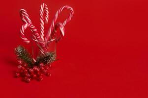 Studio shot of beautiful minimalistic simple composition with Christmas lollipops in transparent glass and snowy branch of pine with red berries, holly, on red background with copy space for ad photo