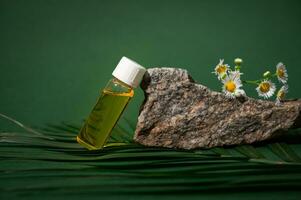 Still life anti-cellulite massage oil in a glass bottle and chamomile on stone and palm leaf. Brand packaging mockup photo