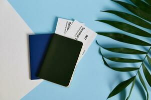 Flat lay of two passports with airplane tickets on bicolor background with a palm leaves photo