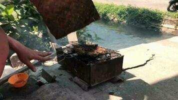 fogão para assar frango e mar peixe video