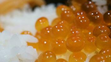 Close up of sashimi salmon roe with rice bowl or donburi in Japanese style food. photo