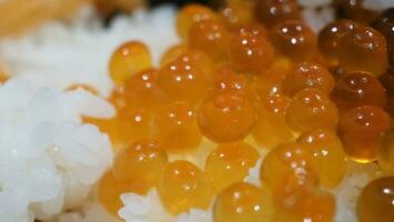 Close up of sashimi salmon roe with rice bowl or donburi in Japanese style food. photo