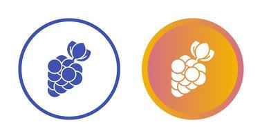 Berries Vector Icon