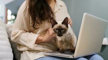 woman working from home with cat. cat asleep on the laptop keyboard. assistant cat working at Laptop photo