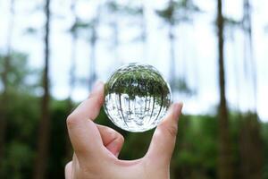 Save world. Earth day. Energy saving concept. Crystal glass ball in Nature Pine Park photo