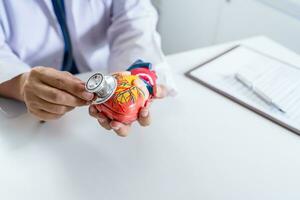 Doctor with anatomical model of human heart Cardiologist supports the heart. heart diagnose medical checkup cardiologist in examination room photo