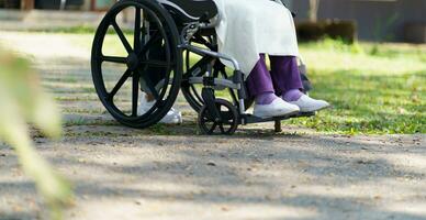 Nursing home. Young caregiver helping senior woman in wheelchair. photo