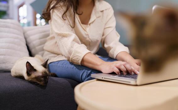 mujer trabajando desde hogar con gato. gato dormido en el ordenador portátil teclado. asistente gato trabajando a ordenador portátil foto