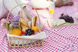 picnic almuerzo comida al aire libre parque con comida picnic cesta. disfrutando picnic hora en parque naturaleza al aire libre foto