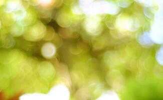 Abstract bokeh pastel background. Bokeh light, shimmering blur spot lights on multicolored abstract background photo