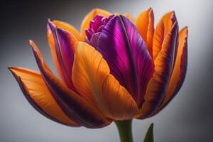 vistoso tulipán flores en florero en gris antecedentes. tonificado generativo ai foto