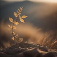 Plant in the desert at sunset time. Beautiful nature background. generative ai photo