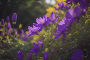 púrpura flores en el jardín, de cerca. floral antecedentes. generativo ai foto