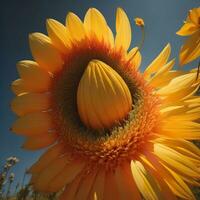 Sunflower on blue sky background. Sunflower blooming in the field. generative ai photo