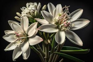 Beautiful white lilies on solid color background, closeup. Floral decor. ai generative photo