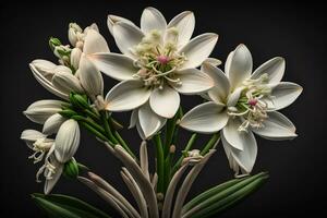 Beautiful white lilies on solid color background, closeup. Floral decor. ai generative photo