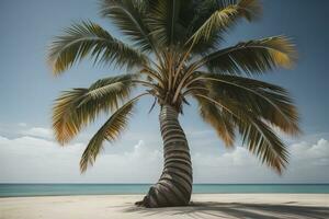 Palm tree on the beach. Summer vacation concept. ai generative photo