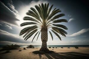 palma árbol en el playa. verano vacaciones concepto. ai generativo foto