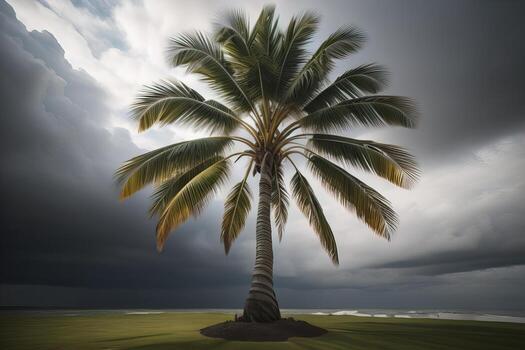 Palm tree on the beach. Summer vacation concept. ai generative photo