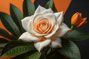 White rose with green leaves on a solid color background, top view. ai generative photo