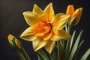 Bouquet of colorful flower on a solid color background, close up. ai generative photo