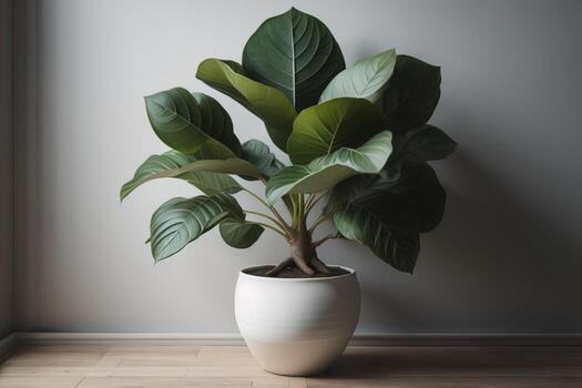 Flowers in a pot on a solid color background. ai generative photo